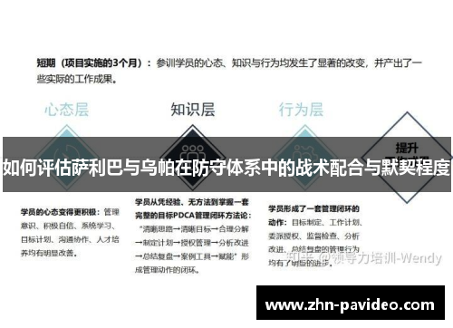 如何评估萨利巴与乌帕在防守体系中的战术配合与默契程度